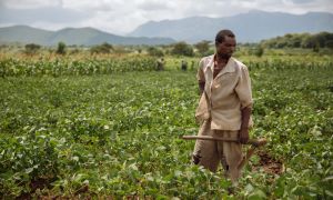 Land Tenure and Perceived Tenure Security in the Era of Social and Economic Transformation in Africa