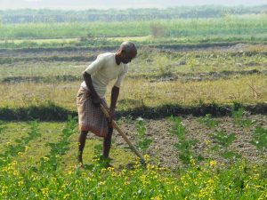 Regional Dialogue – Innovations for Advancing Farmer’s Use of Balanced Nutrient Application in South Asia