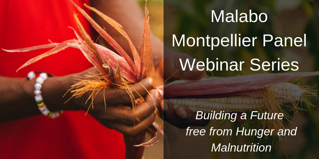 event_pic_-_malabo_montpellier_panel_webinar_series