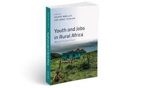 Youth and Jobs in Rural Africa: Beyond Stylized Facts