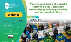 Why increasing the role of renewable energy mini grids is essential to transforming agricultural productivity and food security in Africa