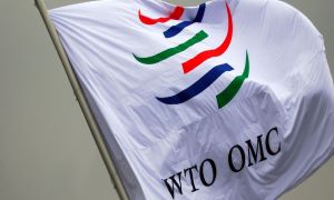 Domestic support disciplines for the 21st century: A blueprint for the WTO 12th Ministerial Conference