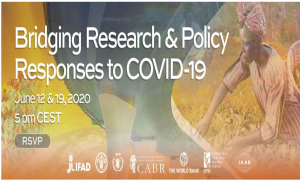 Online Talks - Bridging Research and Policy Responses to COVID-19