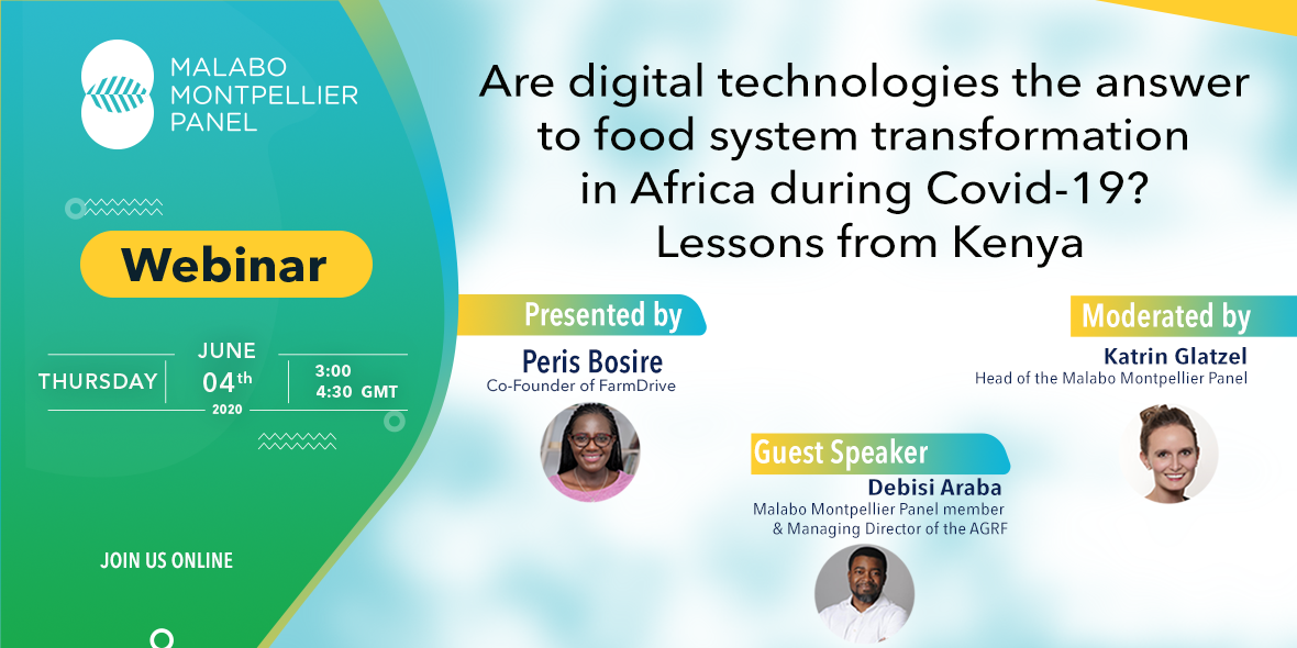 Are digital technologies the answer to food system transformation in Africa during Covid-19? Lessons from Kenya