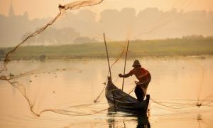 Assessing the Impact of COVID-19 on Myanmar’s Livestock and Fishery Sectors