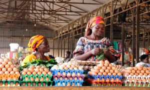 2020 ReSAKSS Conference -- Sustaining Africa's Agrifood System Transformation: The Role of Public Policies