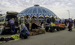 2018 Global Food Policy Report - Tashkent, Uzbekistan
