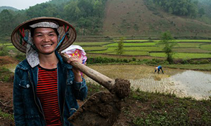 Myths about the feminization of agriculture: Implications for global food security