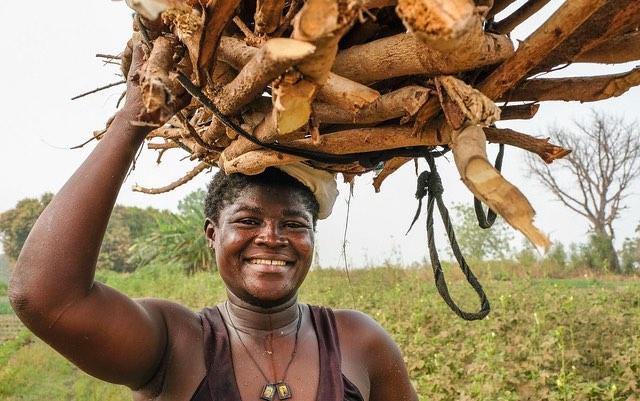 Employment, diversifying rural livelihoods, and youth: Lessons for Ghana from the 2019 Global Food Policy Report