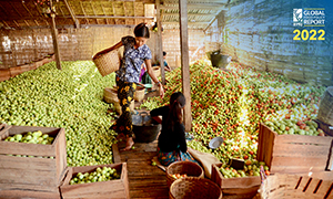 China's Discussion of IFPRI’s 2022 Global Food Policy Report: Climate Change and Food Systems
