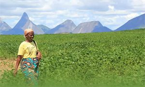 Into, Through and Beyond USAID Programs: Lessons from the Women's Empowerment in Agriculture Index