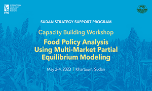 Training Workshop: Food Policy Analysis Using Multi-Market Partial Equilibrium Modeling