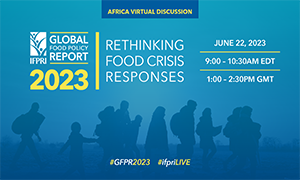 IFPRI’s 2023 Global Food Policy Report: Rethinking Food Crisis Responses – Considerations for Africa