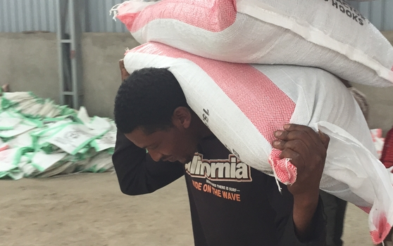 Worker carries two sacks of fertilizer on his back, other bags in background