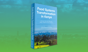 Food Systems Transformation in Kenya: Lessons from the Past and Policy Options for the Future
